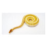 Bright Yellow Ball Python Photo Card