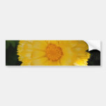 Bright Yellow Calendula Bumper Sticker