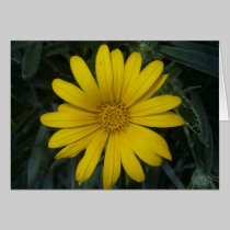 bright yellow cards by cardart bright yellow cards