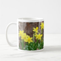 Bright Yellow Daffodils Coffee Mugs