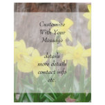 Bright Yellow Daffodils flyers