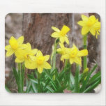 Bright Yellow Daffodils Mousepads