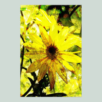 Bright Yellow Daisies Poster posters