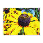 Bright Yellow Flower : Funchal, Portugal Postcards