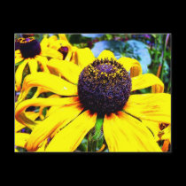Bright Yellow Flower : Funchal, Portugal postcards