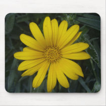 bright yellow flower mousepads