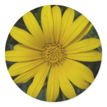bright yellow flower sticker