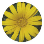 bright yellow flower sticker