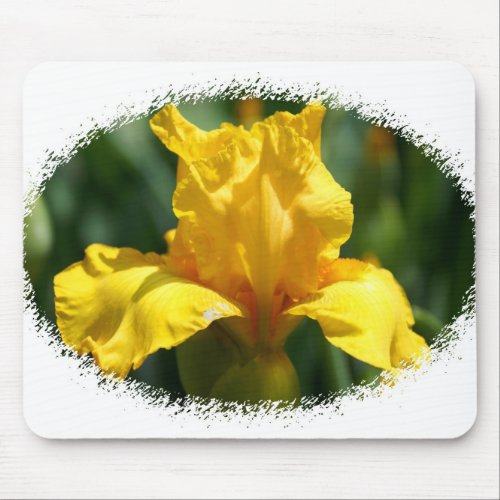 Bright Yellow Iris mousepad