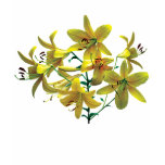 Bright Yellow Lilies Ladies t-shirts