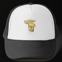 Bright Yellow Mushrooms Hat hats