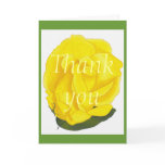 Bright yellow rose, Thank you greeting cards cards