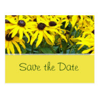 bright yellow summer daisy flowers save the date postcards
