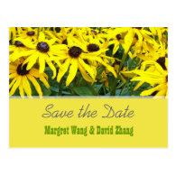 Bright yellow summer daisy flowers save the date post cards