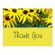 bright yellow summer daisy flowers thank you postcards