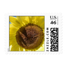 Bright Yellow Sunflower Postage