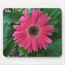 Brighten Your Day Pink Gerber mousepads by gettingreen Brighten Your Day Pink Gerber mousepads