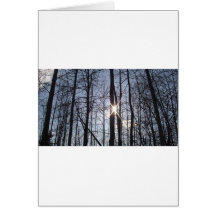Brighter Point of View Cards