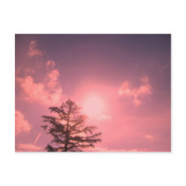 Brightest Sky Postcard postcards