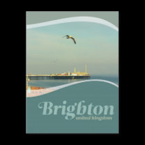 Brighton Pier Seagull Postcard postcards