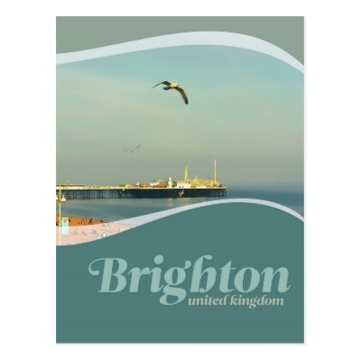 Brighton Pier Seagull Postcard