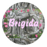 Brigida Stickers
