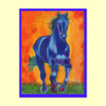 Brillian Blue Horse postcards