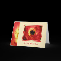 Brilliant Birthday Card by jereeb Brilliant Birthday Card