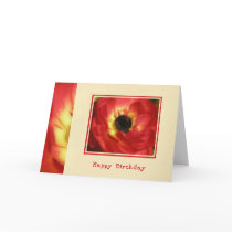 Brilliant Birthday Card by jereeb Brilliant Birthday Card