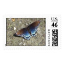 Brilliant Butterfly postage