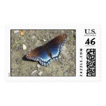 Brilliant Butterfly postage