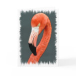 Brilliant Flamingo Greeting Card