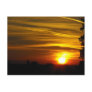 Brilliant Glow Postcard