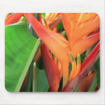 Brilliant Heliconia Tropical Flowers Mouse Pad