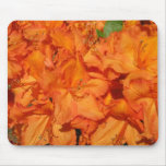 Brilliant Orange Azalea IMG_0831 Mouse Pads