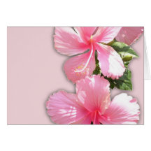 Brilliant Pink Hibiscus Flowers Card