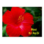 Brilliant Red Hibiscus Flower, Maui Hawaii Postcards