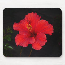 Brilliant Red Hibiscus Mousepad by MooseAnne Brilliant Red Hibiscus Mousepad