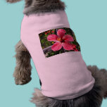 Brilliant Red Hibiscus Photo pet clothing