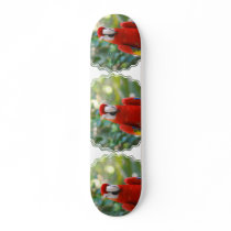 Brilliant Red Parrot Skateboard