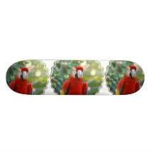 Brilliant Red Parrot Skateboard