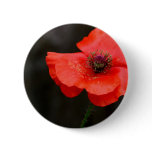 Brilliant Red Poppy Buttons