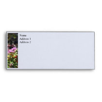 Brilliant Summer Garden envelopes