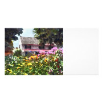 Brilliant Summer Garden photo cards