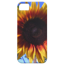 Brilliant Sunflower iPhone Case iPhone 5 Cases