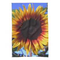 Brilliant Sunflower Kitchen Towels