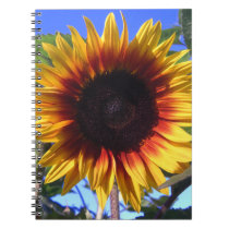 Brilliant Sunflower Notebook