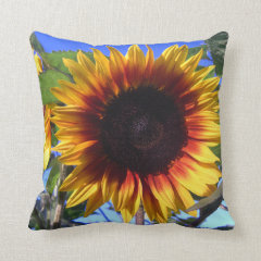 Brilliant Sunflower Pillows