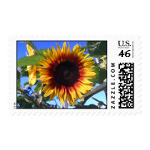 Brilliant Sunflower Postage