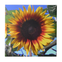 Brilliant Sunflower Tile